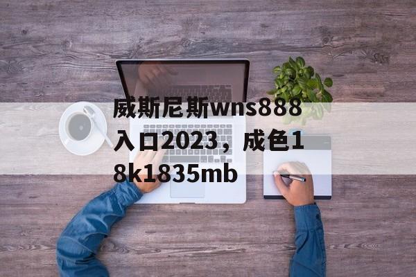 威斯尼斯wns888入口2023，成色18k1835mb